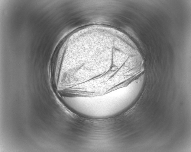 X0000065251032200603172159