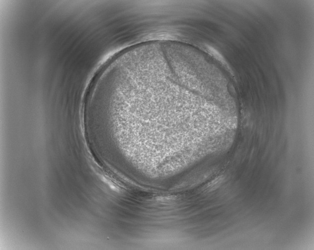 X0000065251035200603172159