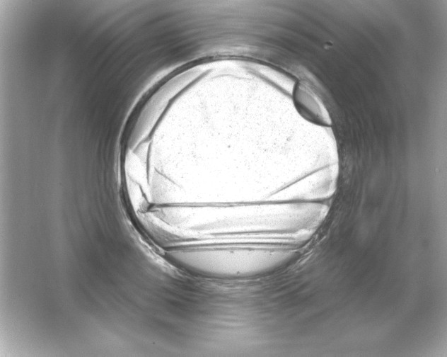 X0000065251036200603172159