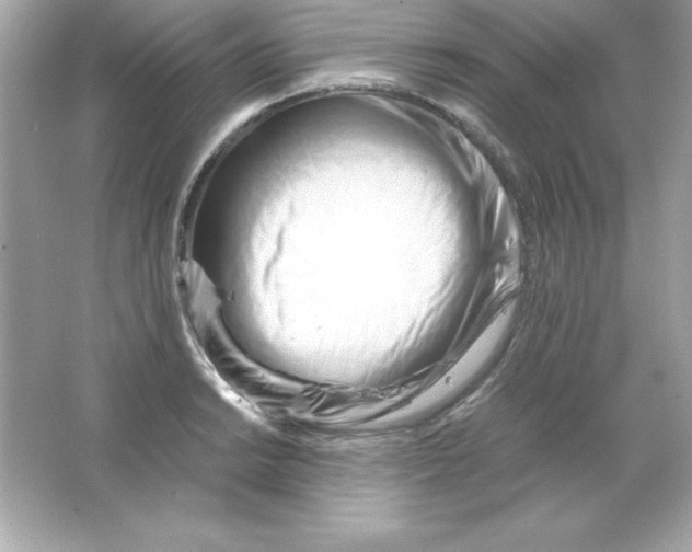 X0000065251038200603172159