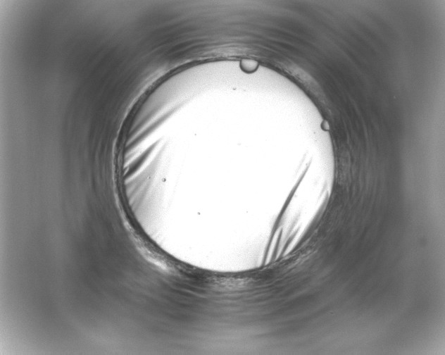 X0000065251039200603172159