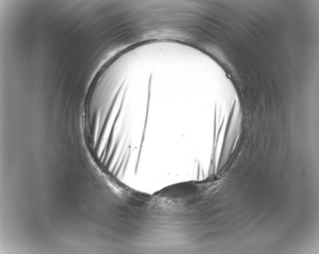 X0000065251040200603172159