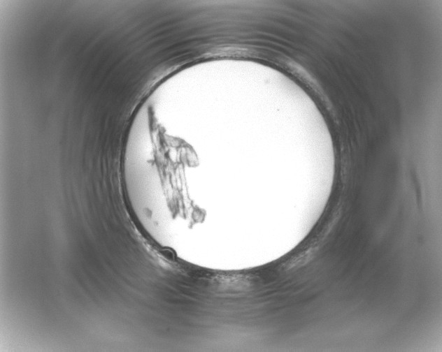 X0000065251041200603172159