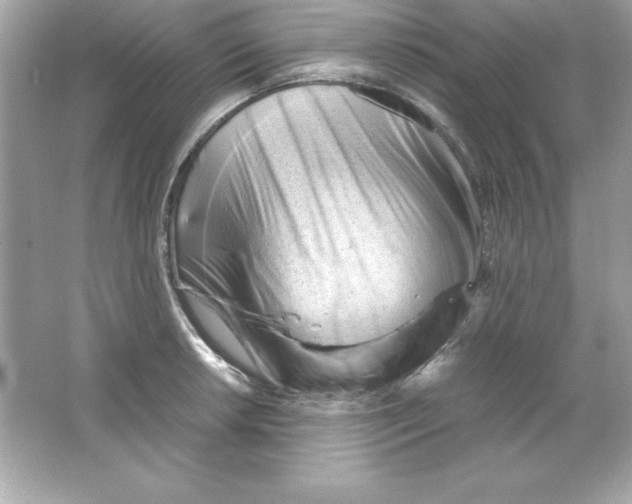 X0000065251042200603172159