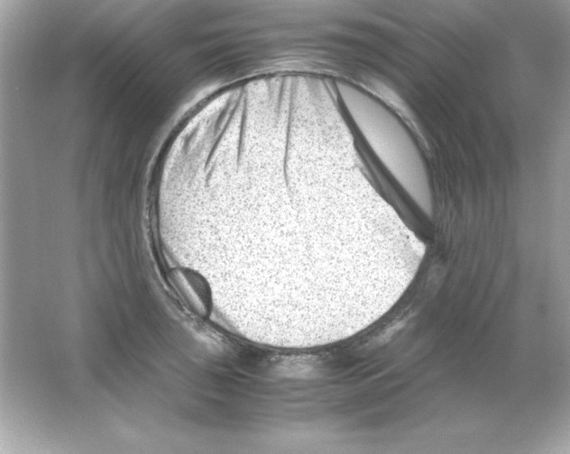 X0000065251043200603172159