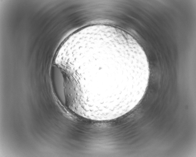 X0000065251044200603172159