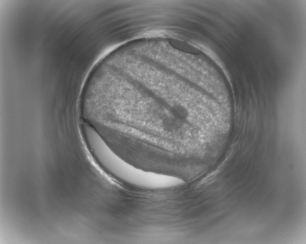 X0000065251045200603172159