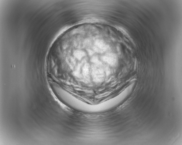 X0000065251046200603172159