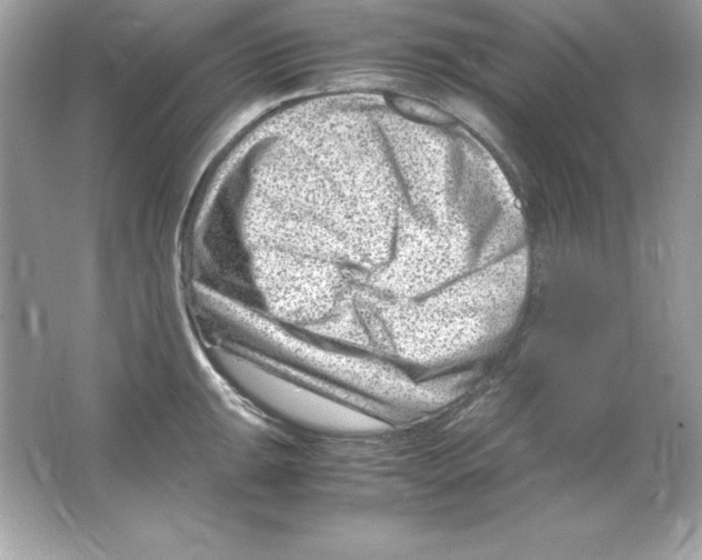 X0000065251047200603172159