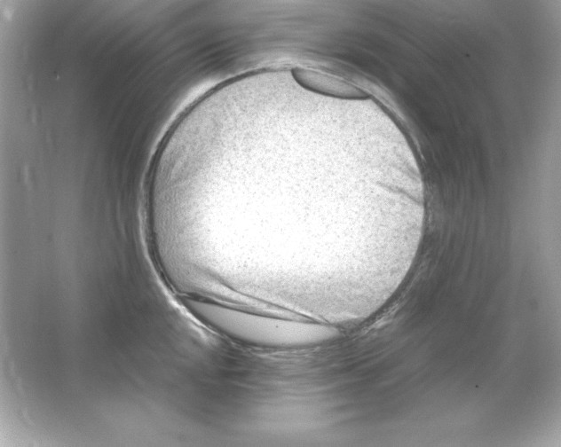 X0000065251048200603172159