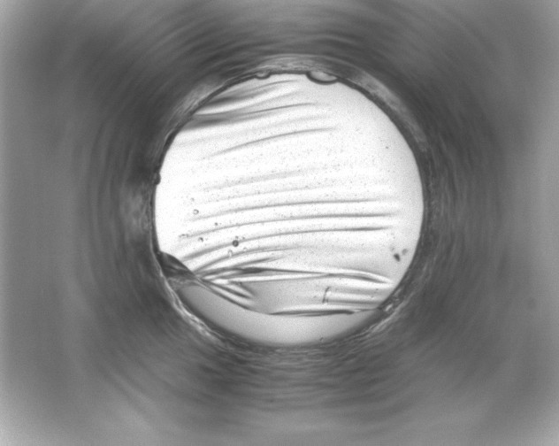 X0000065251049200603172159