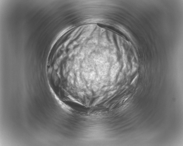 X0000065251050200603172159