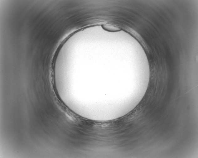 X0000065251051200603172159