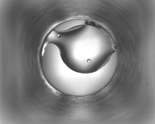 X0000065251054200603172159