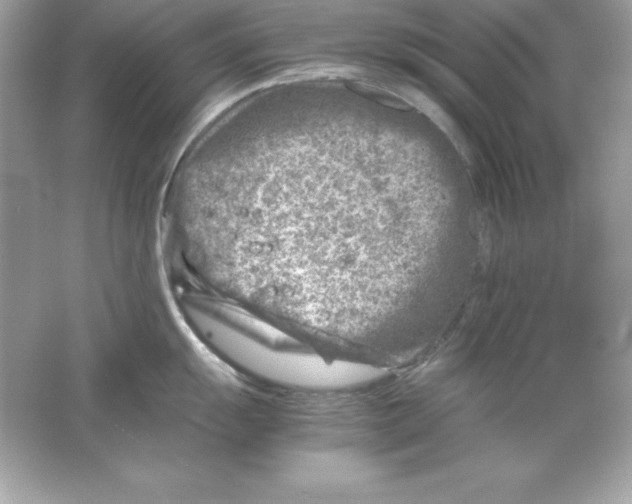 X0000065251055200603172159