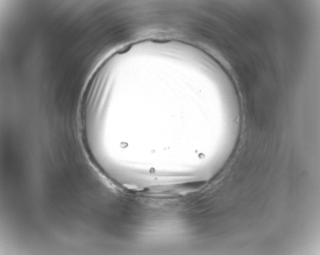 X0000065251056200603172159