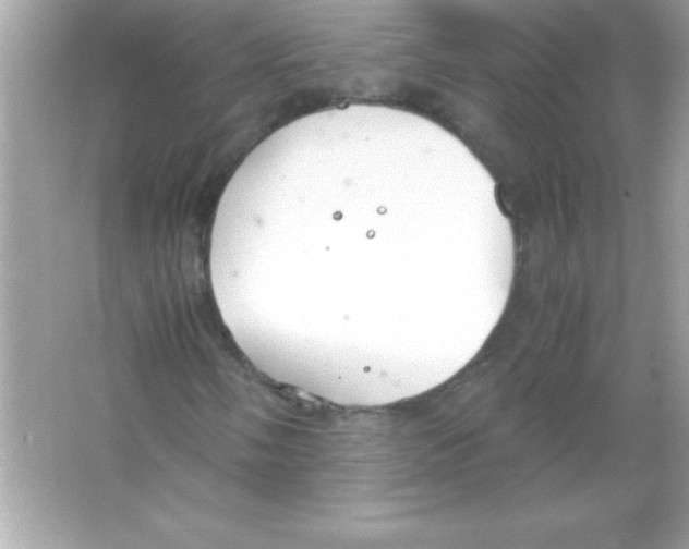 X0000065251058200603172158