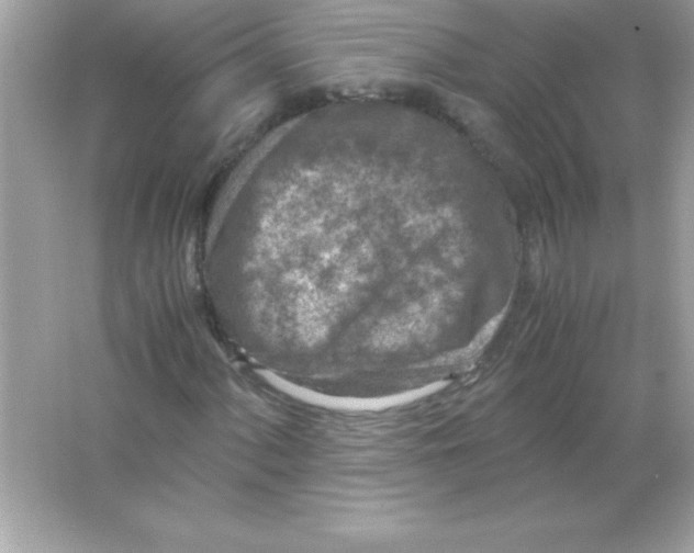 X0000065251060200603172158