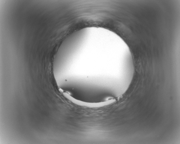 X0000065251061200603172158