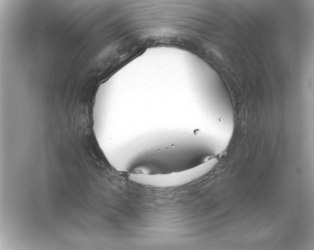 X0000065251062200603172158