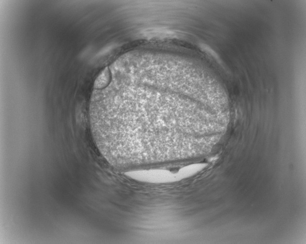 X0000065251063200603172158