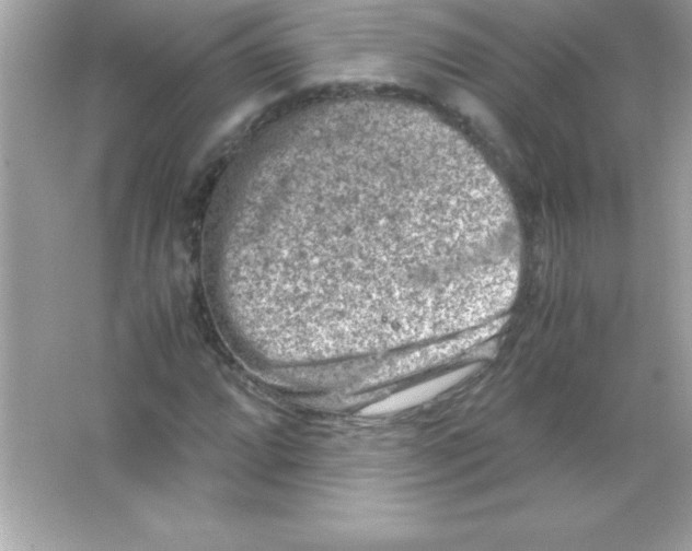 X0000065251064200603172158