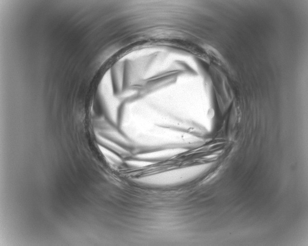 X0000065251065200603172158