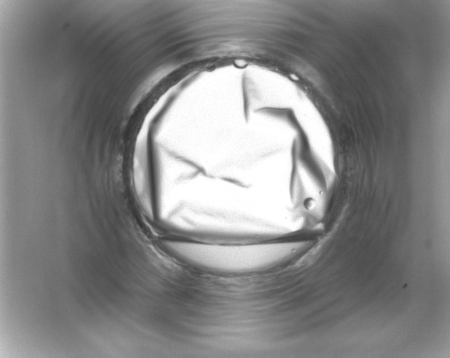 X0000065251066200603172158