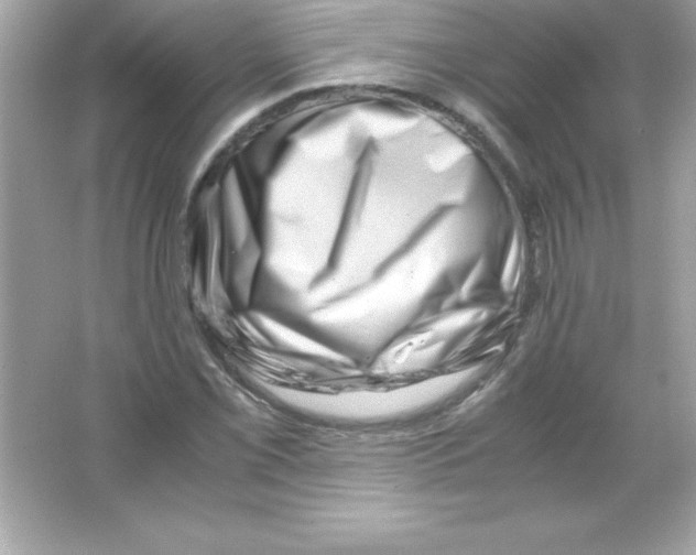 X0000065251069200603172158