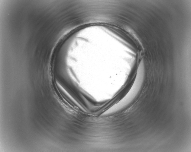 X0000065251072200603172158