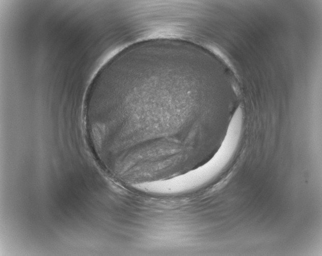 X0000065251077200603172158