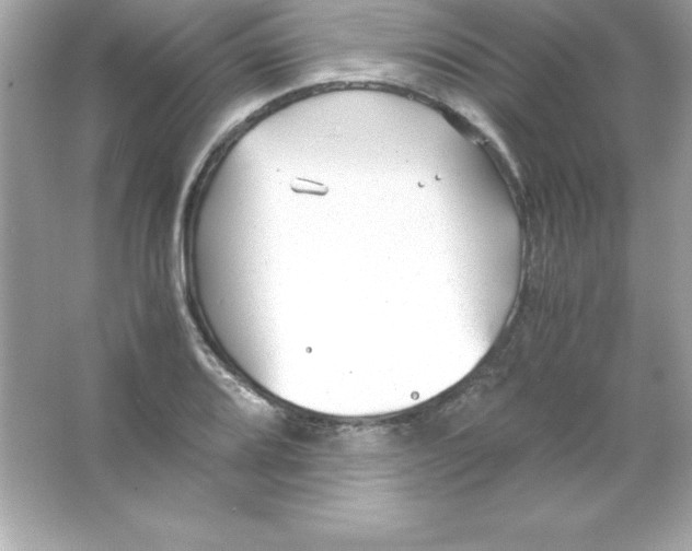 X0000065251080200603172158