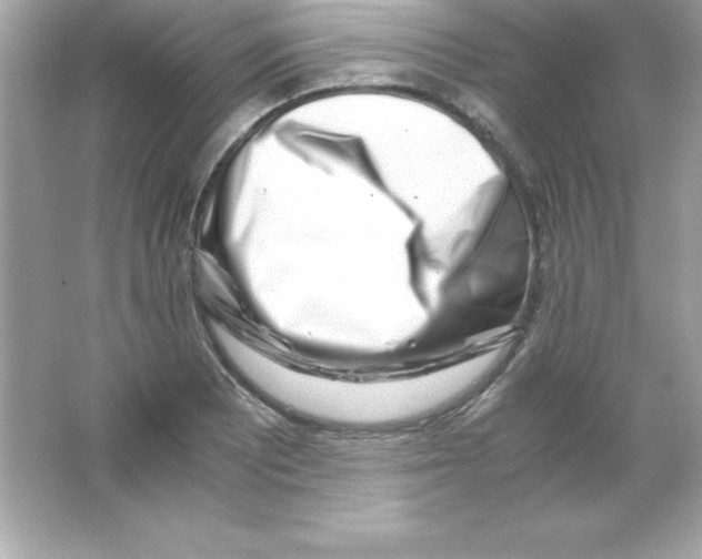 X0000065251081200603172158