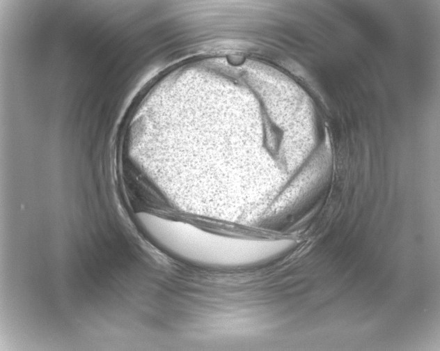 X0000065251083200603172158