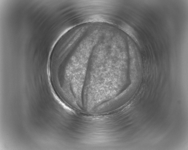 X0000065251084200603172158