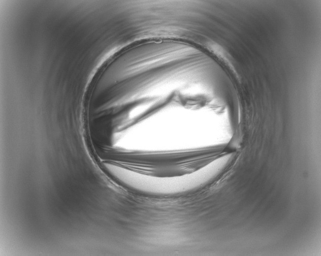 X0000065251085200603172158