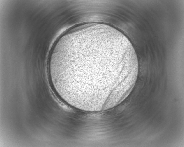 X0000065251086200603172158