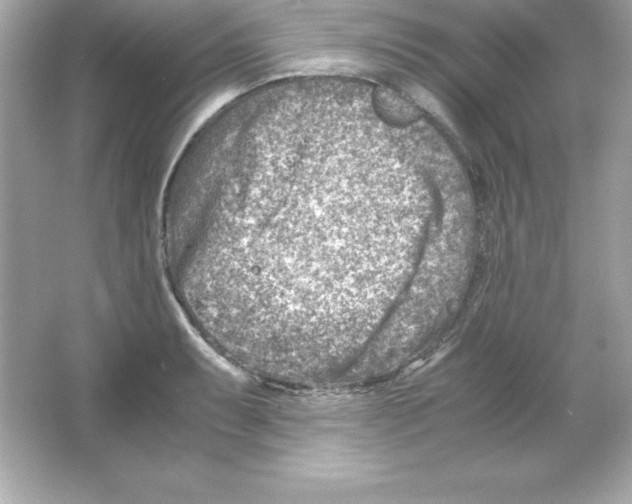 X0000065251087200603172158