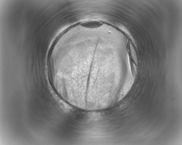 X0000065251088200603172158