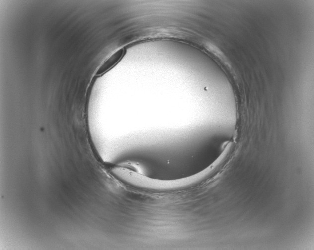 X0000065251089200603172158