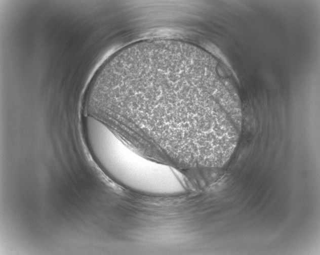 X0000065251091200603172158