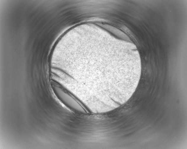 X0000065251092200603172158