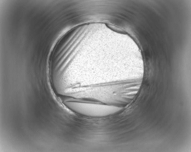 X0000065251096200603172158