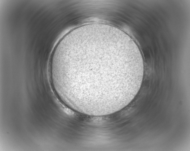 X0000065251098200603172158