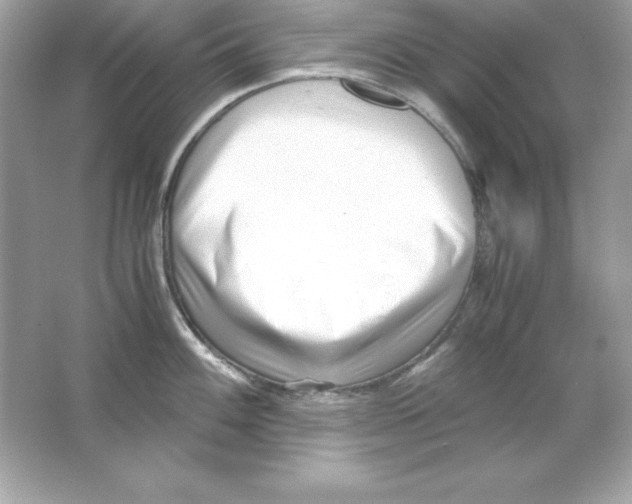 X0000065251100200603172158