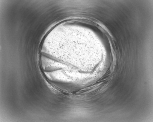 X0000065251101200603172158