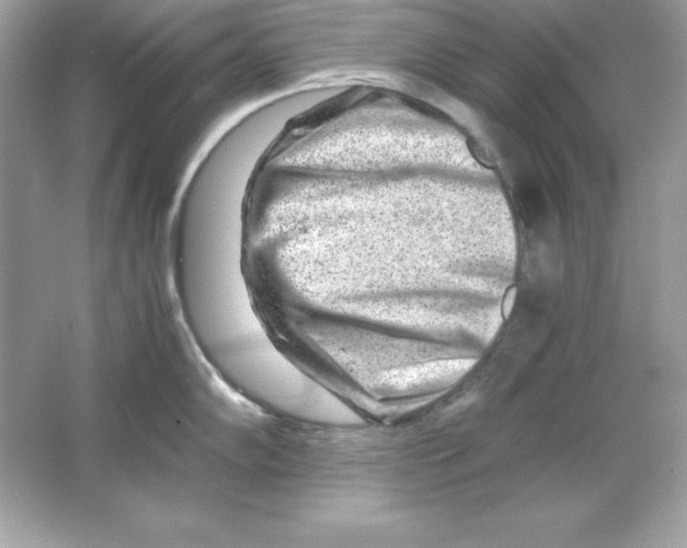 X0000065251102200603172158