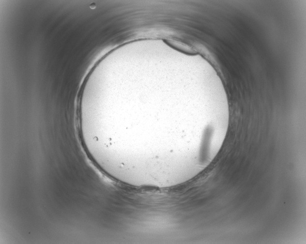 X0000065251103200603172158