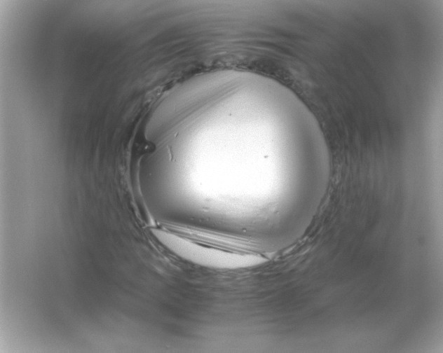 X0000065251109200603172157