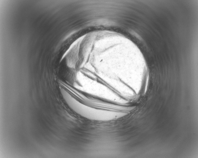 X0000065251112200603172157